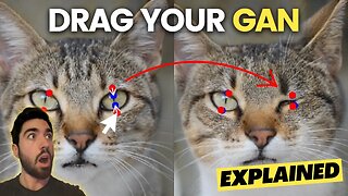 Transform Any Image with a Single Movement of Your Mouse: DragGan Explained