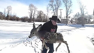 Sheriff Rescues Deer In Frozen Lake By Lasso