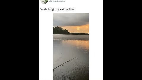 Watching the rain roll in looks like fishes