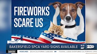 How to help pets deal with fireworks