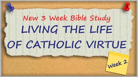 Living the Life of Catholic Virtue: Week 2