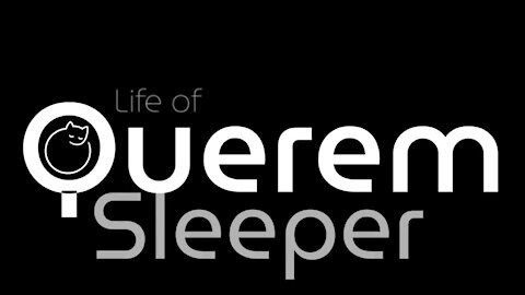 #2 - Querem Sleeper - the greatest fun in life is sleeping