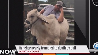Rancher nearly trampled to death by bull