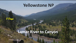 8 Days In Yellowstone - Lamar River To Canyon
