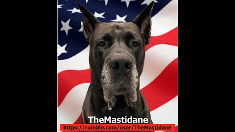 TheMastidane on the Government not shutting down