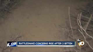 2 bitten by rattlesnakes
