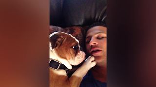 "High Maintenance Pets: Dog DEMANDS Kisses"