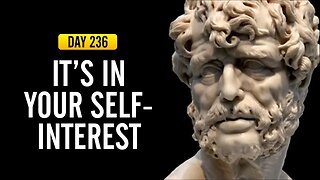 It's in Your Self-Interest - DAY 236 - The Daily Stoic 365 Day Devotional