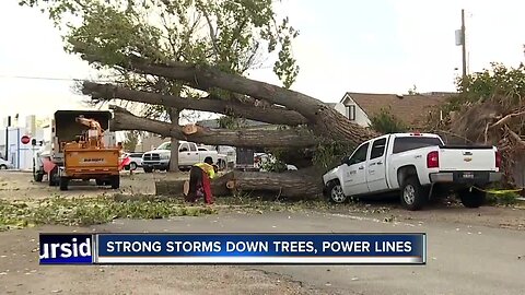 Storm damage