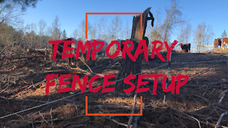 Temporary Fencing Basics: Setup Your Pasture Rotation