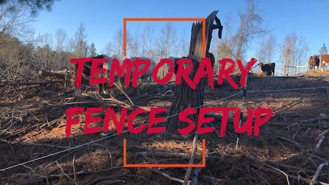 Temporary Fencing Basics: Setup Your Pasture Rotation