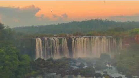 L'incroyable beauté des chutes d'Iguazú