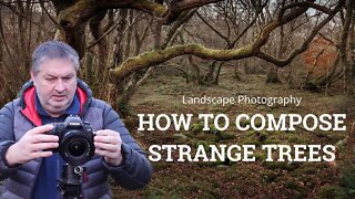 How To Compose Strange Trees (2021)