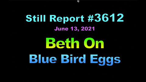Beth On Blue Bird Eggs, 3612