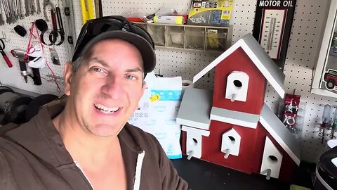 I Put Up A Birdhouse In My Backyard And Had A Lot Of Fun Doing It!