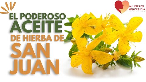 Aceite de San Juan | Mujeres en Menopausia