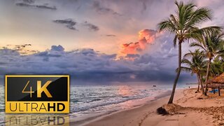 Ocean Waves For Relaxation, Deep Sleep, Insomnia, Meditation, Tropical Beach, Chill