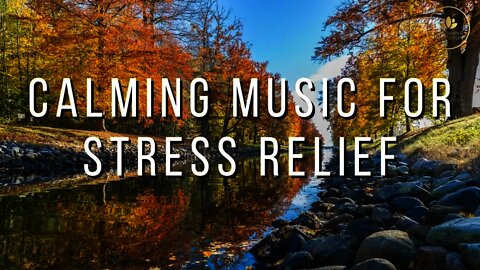Calming Music for Stress Relief • Sleep Music, Meditation Music, Ambient Study Music, Anxiety Relief