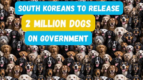 South Korean Government Faces 2 Million Dogs Invasion For This Reason
