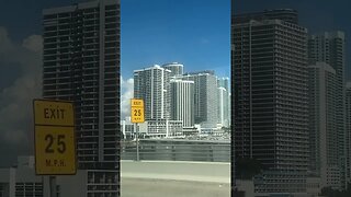 Miami Florida 🏝️