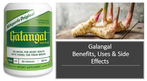 Galangal - Herbal Medicine - Benefits, Uses & Side Effects