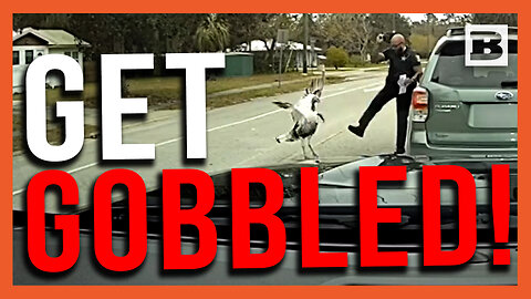 Wait Till Thanksgiving, Pal! Florida Deputy Accosted by Hostile Turkey