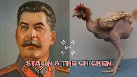 Stalin & The Chicken