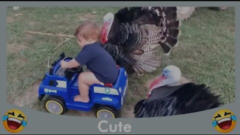 Cute funnest baby playing with animals #1