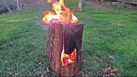 7 Log Campfire Techniques Every Must Know!