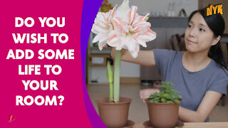 Top 3 Benefits Of Keeping Fresh Flowers In Home