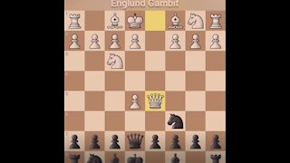 Englund Gambit Defense Game Play Chess