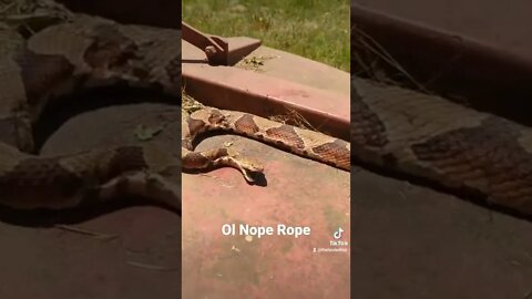 Ol Nope Rope.