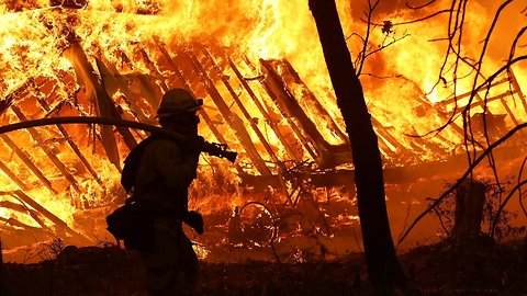 California Suffered More Wildfire Damage Than Any Other State In 2018