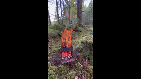 Nice fire in the Forest