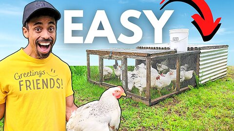 My SUPER EASY Small Scale Chicken System