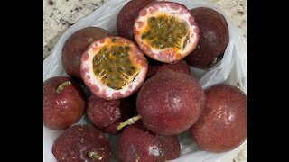 Turning some passion fruit into a refreshing juice