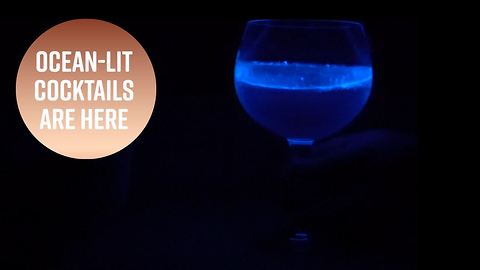 Behold The First Glowing Cocktail And The Man Behind It