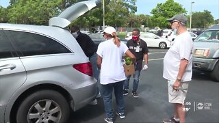 Hunger crisis in Tampa Bay: Hundreds pack free food distribution sites