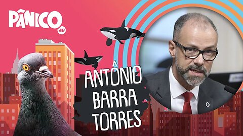 ANTÔNIO BARRA TORRES - PÂNICO - AO VIVO - 07/12/20