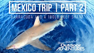 180lb Reef Shark On A Jig Rod | Barracuda As Bait | Fishing Playa Del Carmen W/ JLC Fishing | Pt. 2