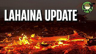 Lahaina Update (4/9/2024)