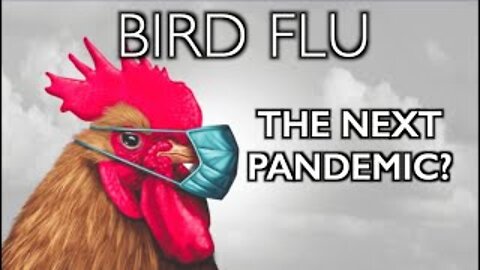 Is the Bird Flu Going To Be the Next SCAMdemic? (full video)
