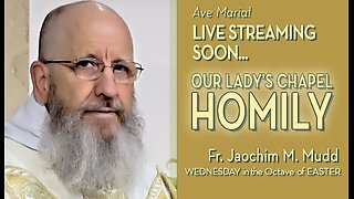 Wednesday in the Octave of Easter - April 3, 2024 - HOMILY