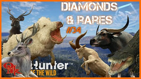 DIAMONDS & RARES Montage #34 - Console - theHunter: Call of the Wild