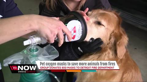 Public support leads to donation of more than 800 pet oxygen masks to DFD