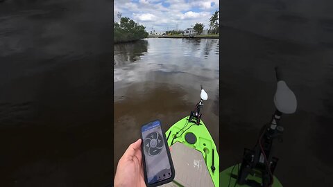 Installed GPS iPhone Remote Steering Kit On $100 Trolling Motor - #fishing