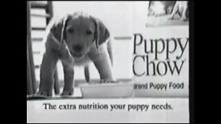 Purina Puppy Chow - Commercial