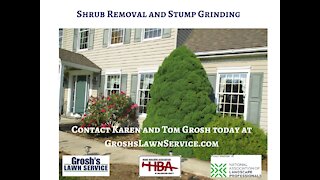 Shrub Removal Keedysville MD Landscaping Contractor