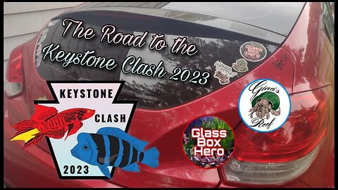 The (850mi) Road to the Keystone Clash 2023 and the Battle for Watch Hours