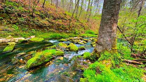 Exploring Cave River Valley in Southern Indiana